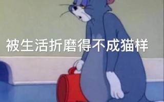 海滩转场沙雕文案，海滩转场沙雕文案怎么写