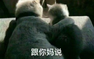日常搞笑沙雕农村人文案，日常搞笑沙雕农村人文案短句