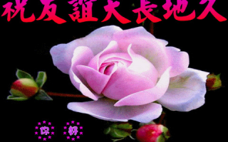 求婚视频恶搞朋友祝福词，求婚视频朋友祝福搞笑