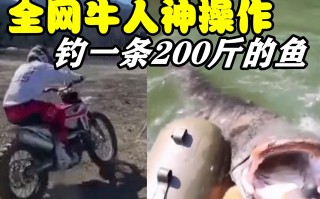 恶搞抓鱼视频，恶搞抓鱼视频大全