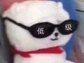 沙雕发文案，沙雕文案发朋友圈