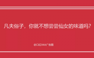 表白公司脱口秀段子文案，表白公司脱口秀段子文案怎么写