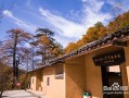 岳西户外游玩攻略，岳西户外游玩攻略一日游