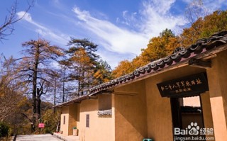 岳西户外游玩攻略，岳西户外游玩攻略一日游