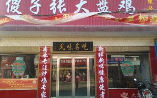 傻子游玩攻略，傻子游玩攻略大全