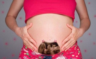 熊孩子恶搞孕妇肚子视频，熊孩子恶搞孕妇肚子视频大全