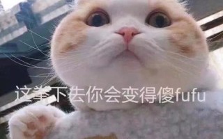 沙雕文案猫，沙雕猫咪文案