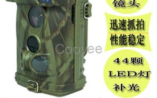 雪豹皮衣，雪豹皮衣属于什么档次