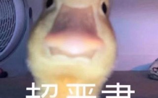 重生文案沙雕文案大全，重生文案沙雕文案大全短句